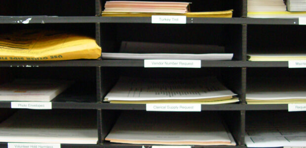 Ascolta l'articolo Quando ho cominciato avrò avuto otto anni. Passavo le giornate con un’automobilina in una mano e la penna nell’altra. Facevo tardi la sera per catalogarle tutte e per scrivere la [&hellip;]